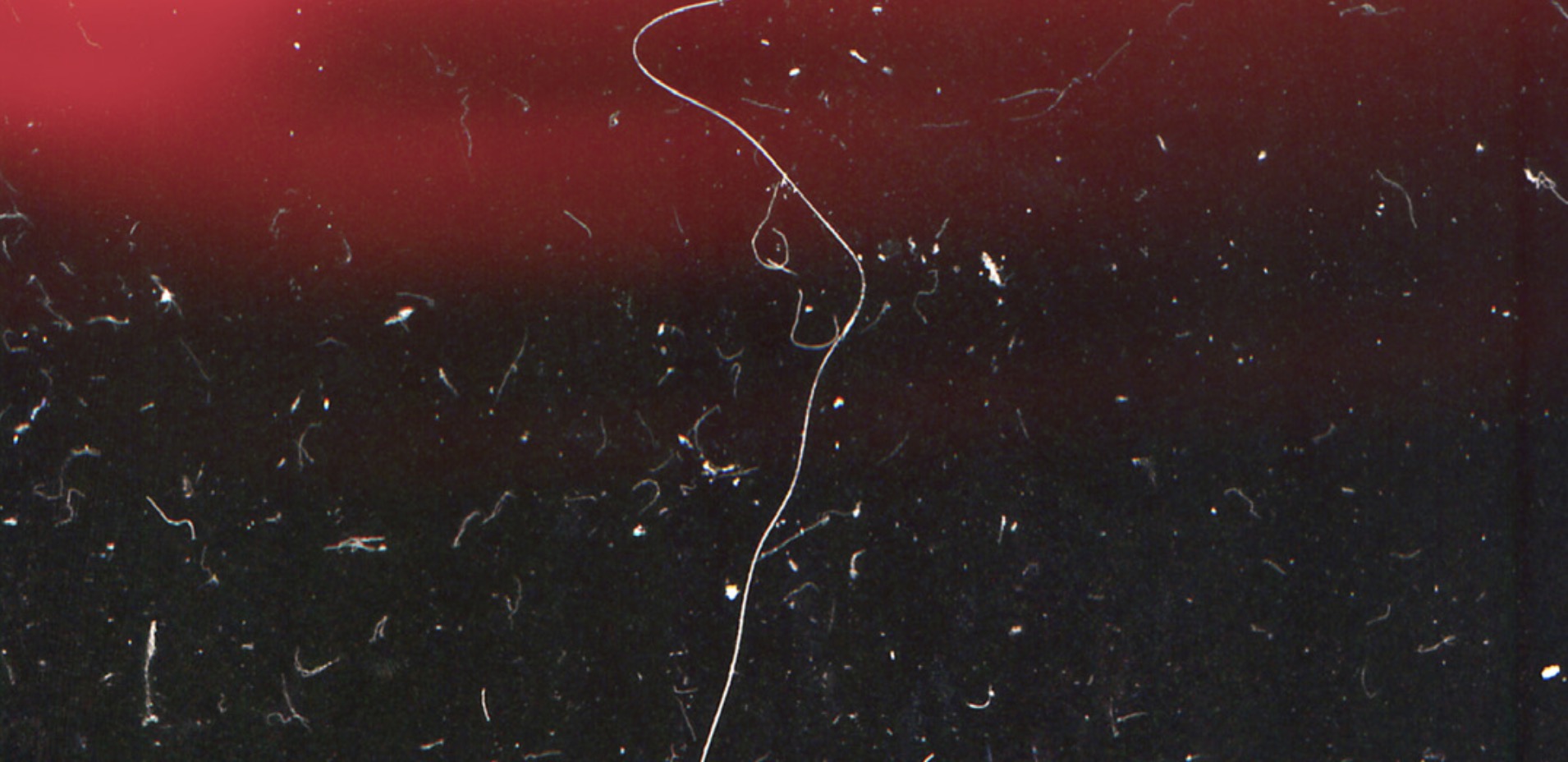 Experts and innovators meet the MEPS 